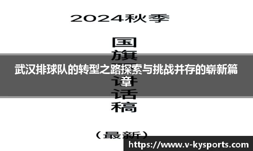 武汉排球队的转型之路探索与挑战并存的崭新篇章